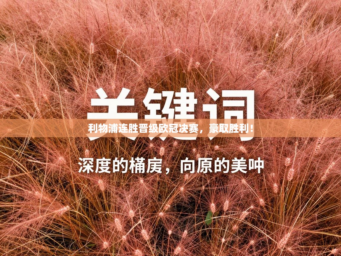 利物浦连胜晋级欧冠决赛，豪取胜利！  第1张