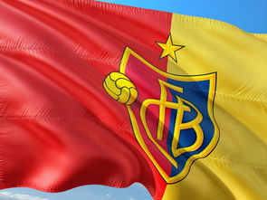 九游官网入口充值-全国青少年足球超级联赛战况激烈,全国青少年少年足球联赛 第3张